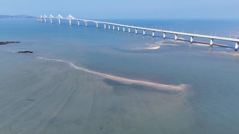 各种海上工程改变流场、漂沙传输,金门大桥下沙洲逐渐长大中。